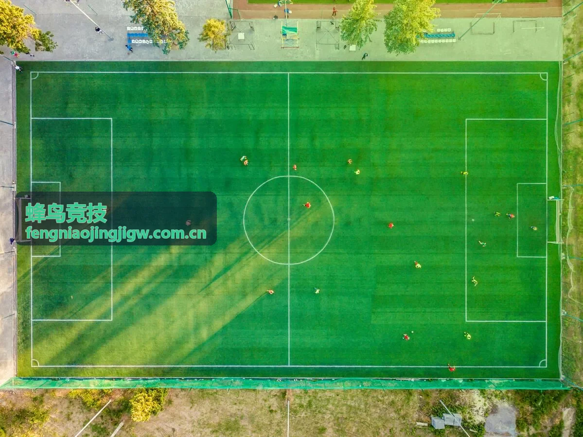 蜂鸟竞技团战支援专题配图